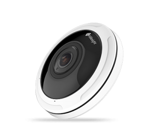 fisheye_milesight